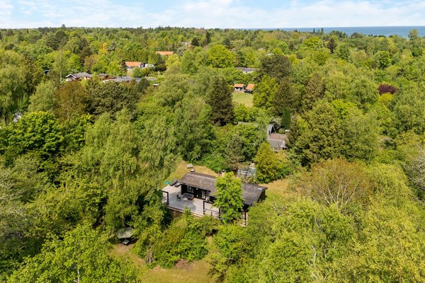 Område