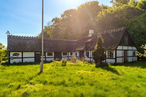 Set fra haven