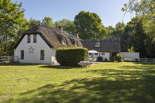 Set fra haven