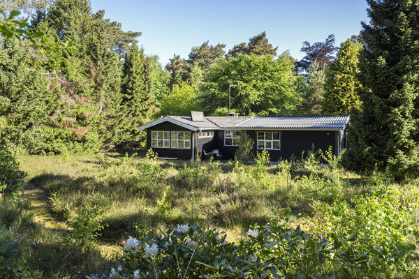 Set fra haven
