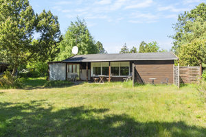 Set fra haven
