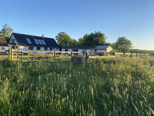 Ejendommen