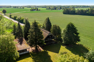 Ejendommen