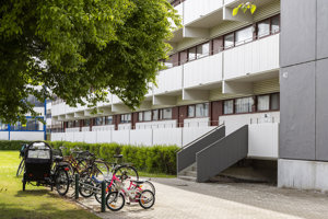 Fælles areal