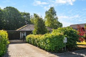 Indkørsel