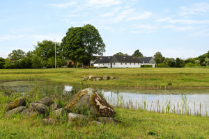 Ejendommen