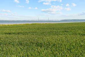 Omgivelser