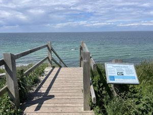 Strandtrappe