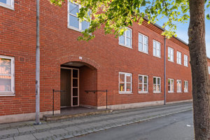 Set fra vejen