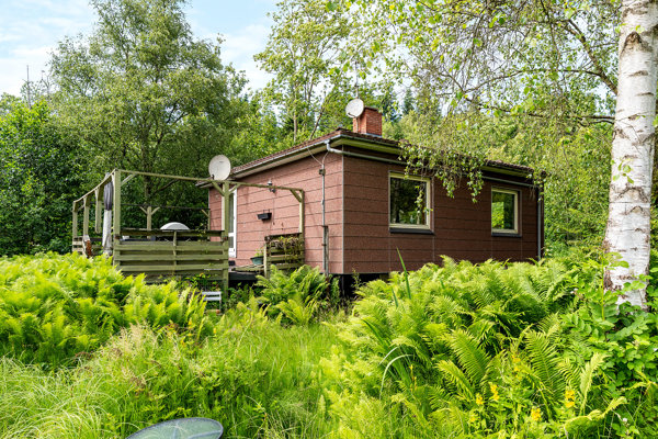 Set fra haven
