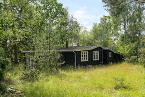 Set fra haven