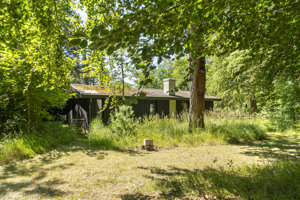 Set fra haven