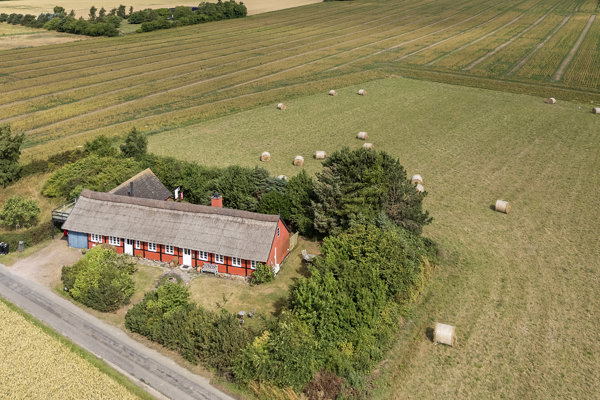 Ejendommen