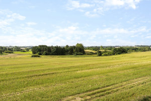 Omgivelser