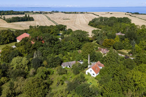 Område