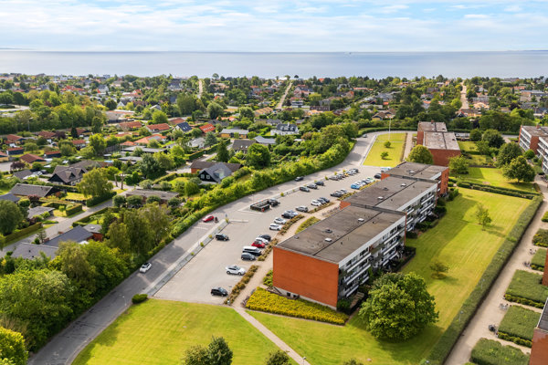 Område
