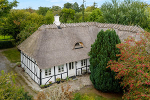 Ejendommen