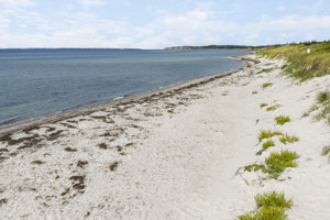 Omgivelser