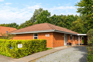 Indkørsel
