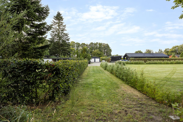 Omgivelser