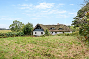 Set fra haven