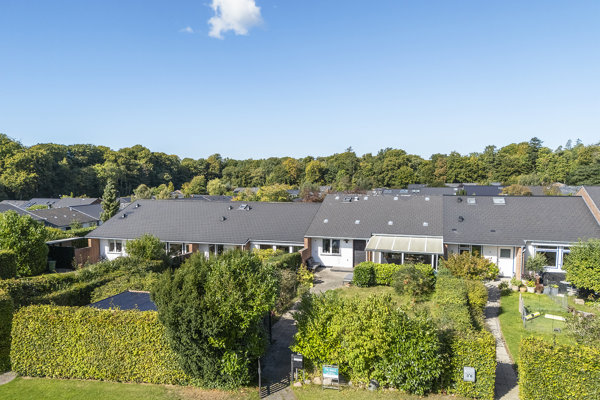 Område