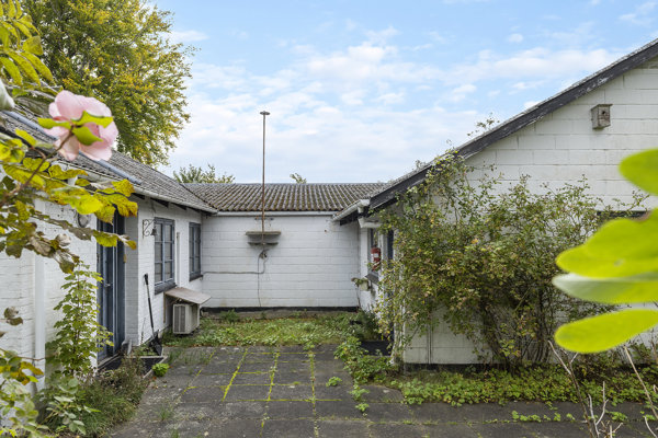 Set fra haven