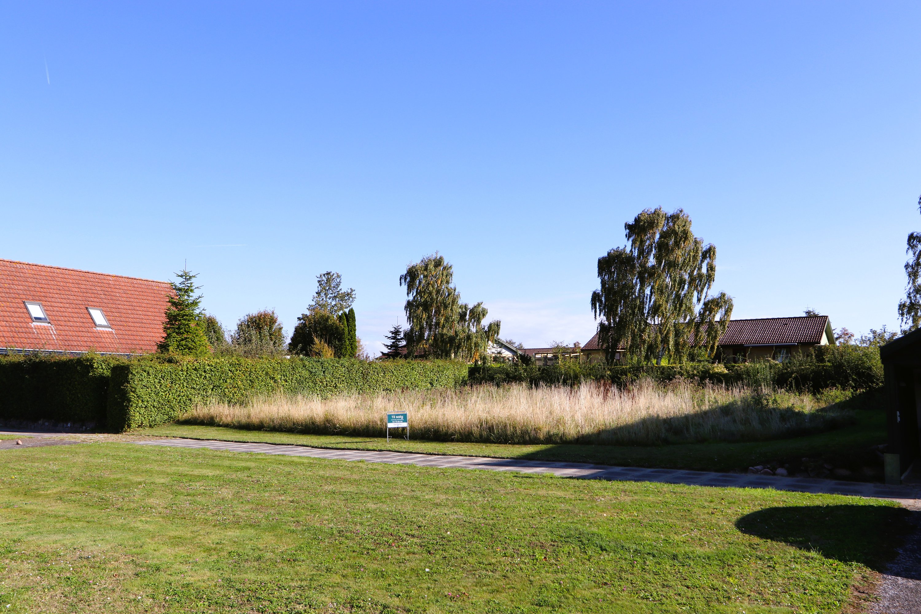 Rosenvænget 41