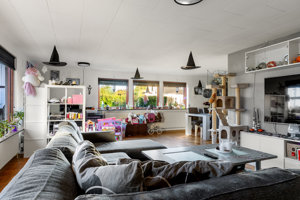 Stueplan