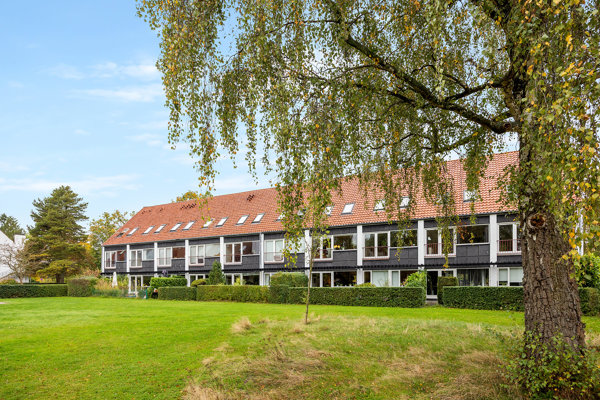 Set fra haven