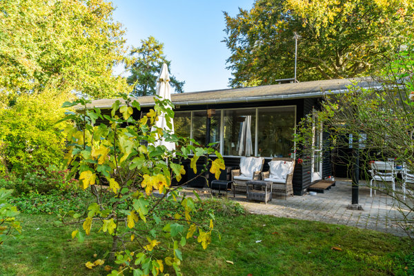 Set fra haven