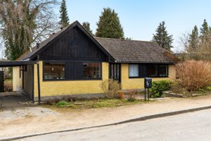 Set fra vejen