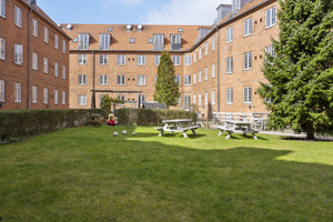 Gårdmiljø