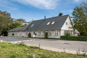Ejendommen 