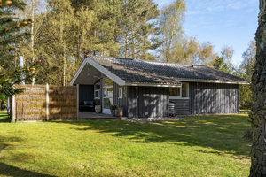 Set fra haven