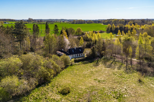 Område