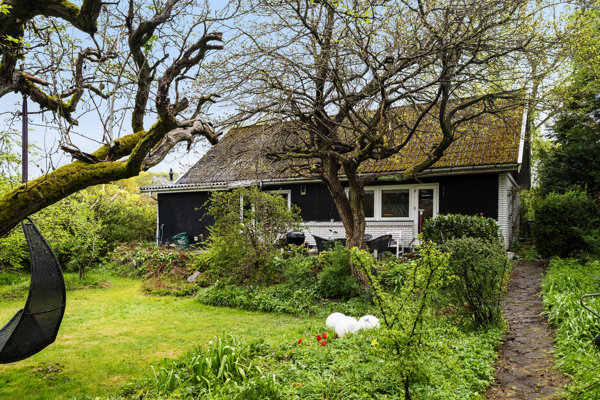 Set fra haven