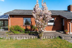 Set fra haven