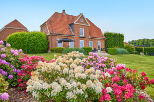 Set fra haven