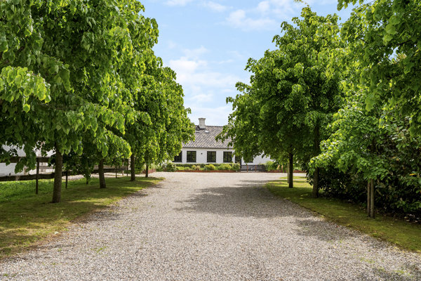 Indkørsel