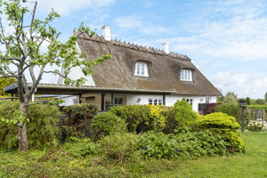 Set fra haven