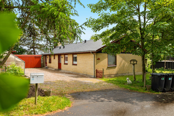 Indkørsel