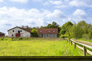 Hestefold