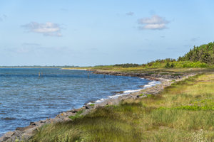 Omgivelser