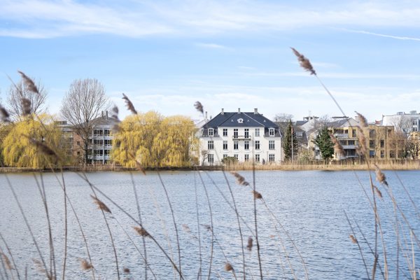 Gårdmiljø