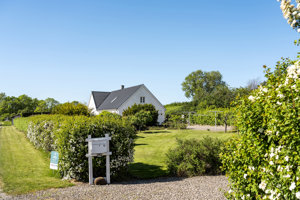 Set fra vejen