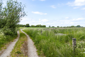 Omgivelser