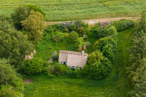 Ejendommen