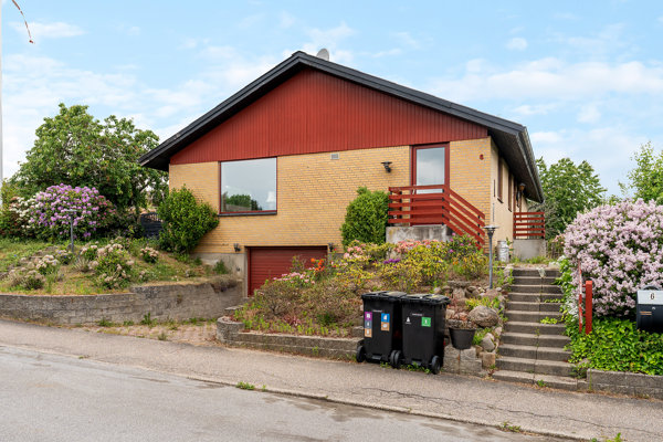 Set fra vejen