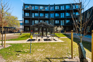 Gårdmiljø